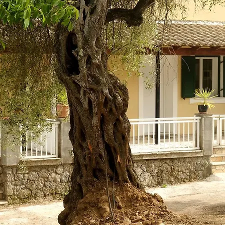 Kidonakia Apartment Agios Ioannis (Corfu)